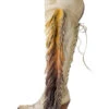 Junk Gypsy By Lane Women's Spirit Animal Tall Boots - Snip Toe -Dan Post Store 2000221553 110 LT
